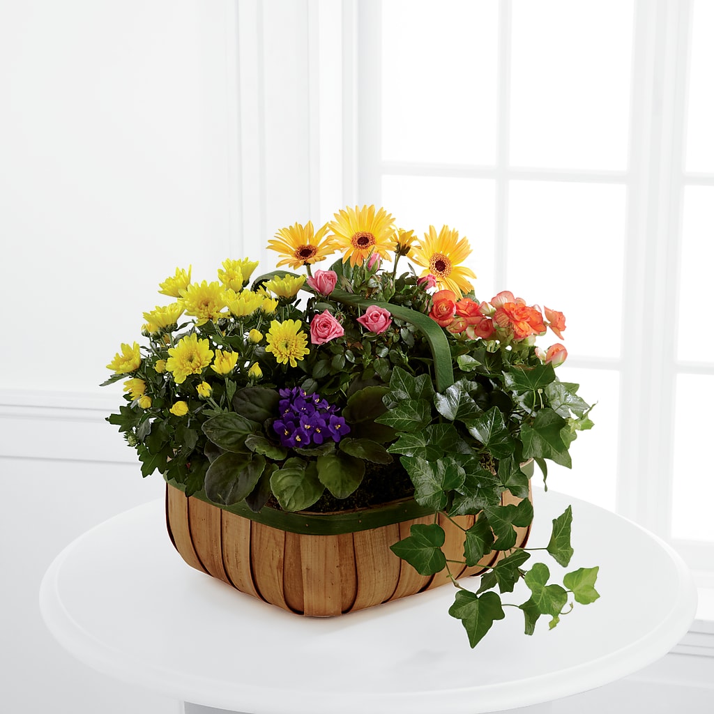 Gentle Blossoms Basket – Brownsville Premiere Florist, Brooklyn NY