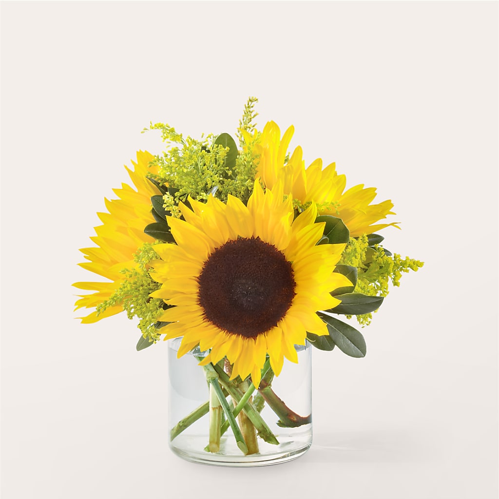 Beaming Sunflower Bouquet – Brownsville Premiere Florist, Brooklyn NY