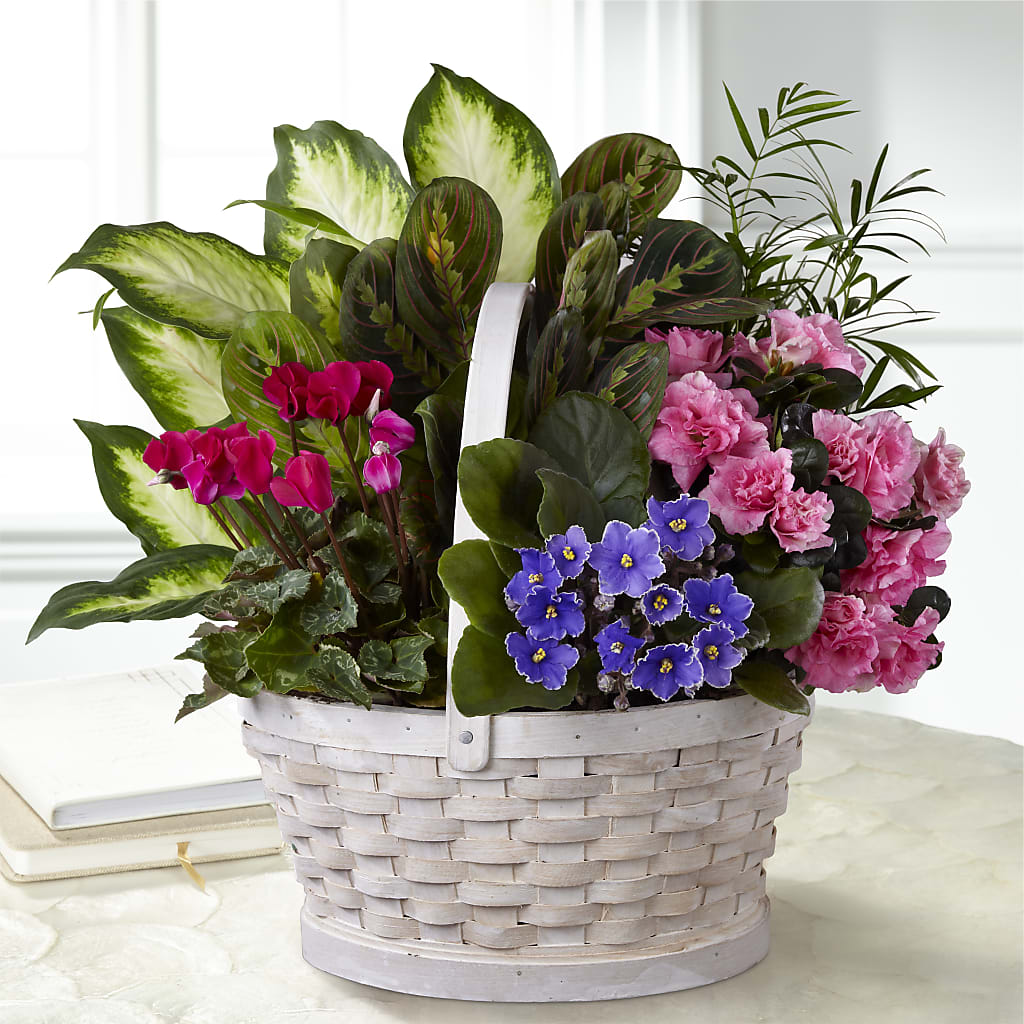 Peaceful Garden Planter – Brownsville Premiere Florist, Brooklyn NY
