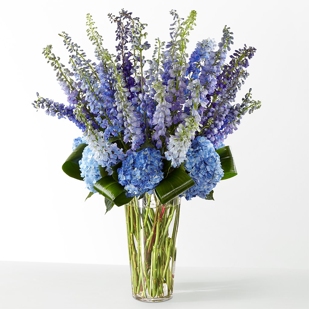 The Editorial – Brownsville Premiere Florist, Brooklyn NY