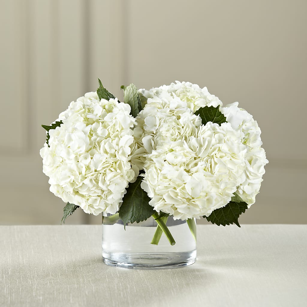 White Hydrangea Bouquet – Brownsville Premiere Florist, Brooklyn NY
