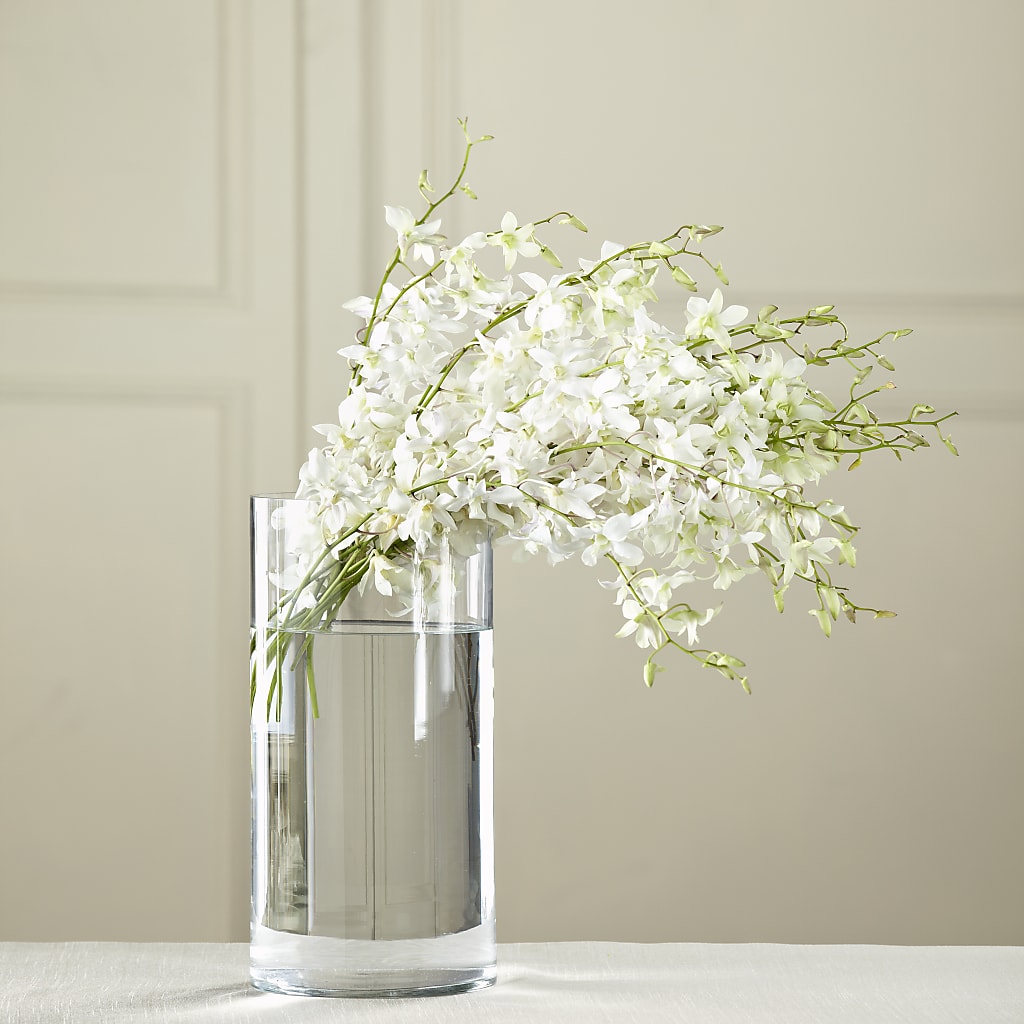 White Dendrobium Bouquet – Brownsville Premiere Florist, Brooklyn NY