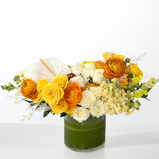 The Optimist –  Brownsville Premiere Florist, Brooklyn NY