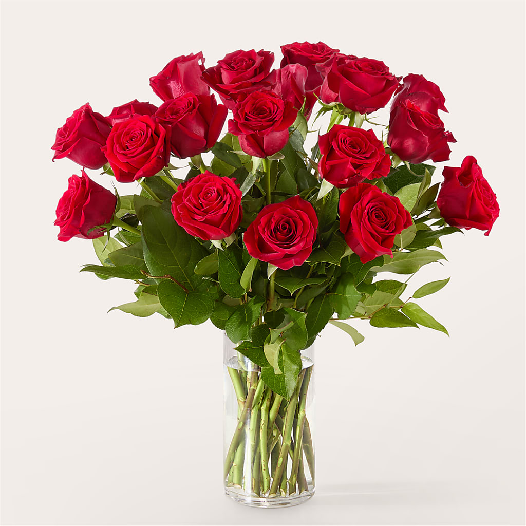 The One Red Rose Bouquet –  Brownsville Premiere Florist, Brooklyn NY