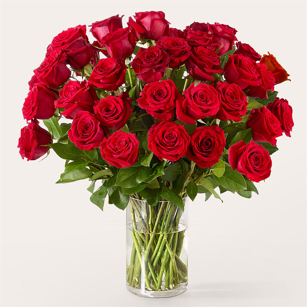 The One Red Rose Bouquet –  Brownsville Premiere Florist, Brooklyn NY