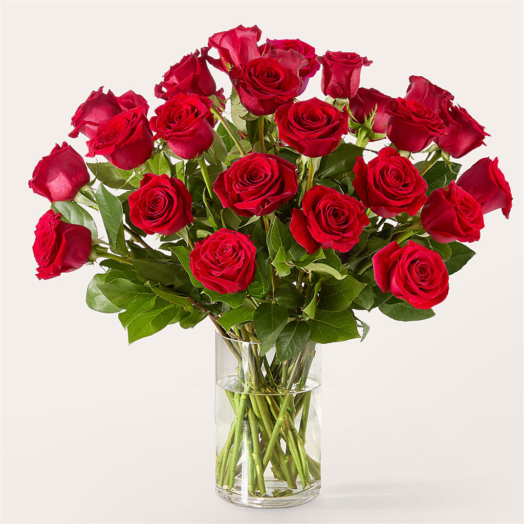The One Red Rose Bouquet –  Brownsville Premiere Florist, Brooklyn NY