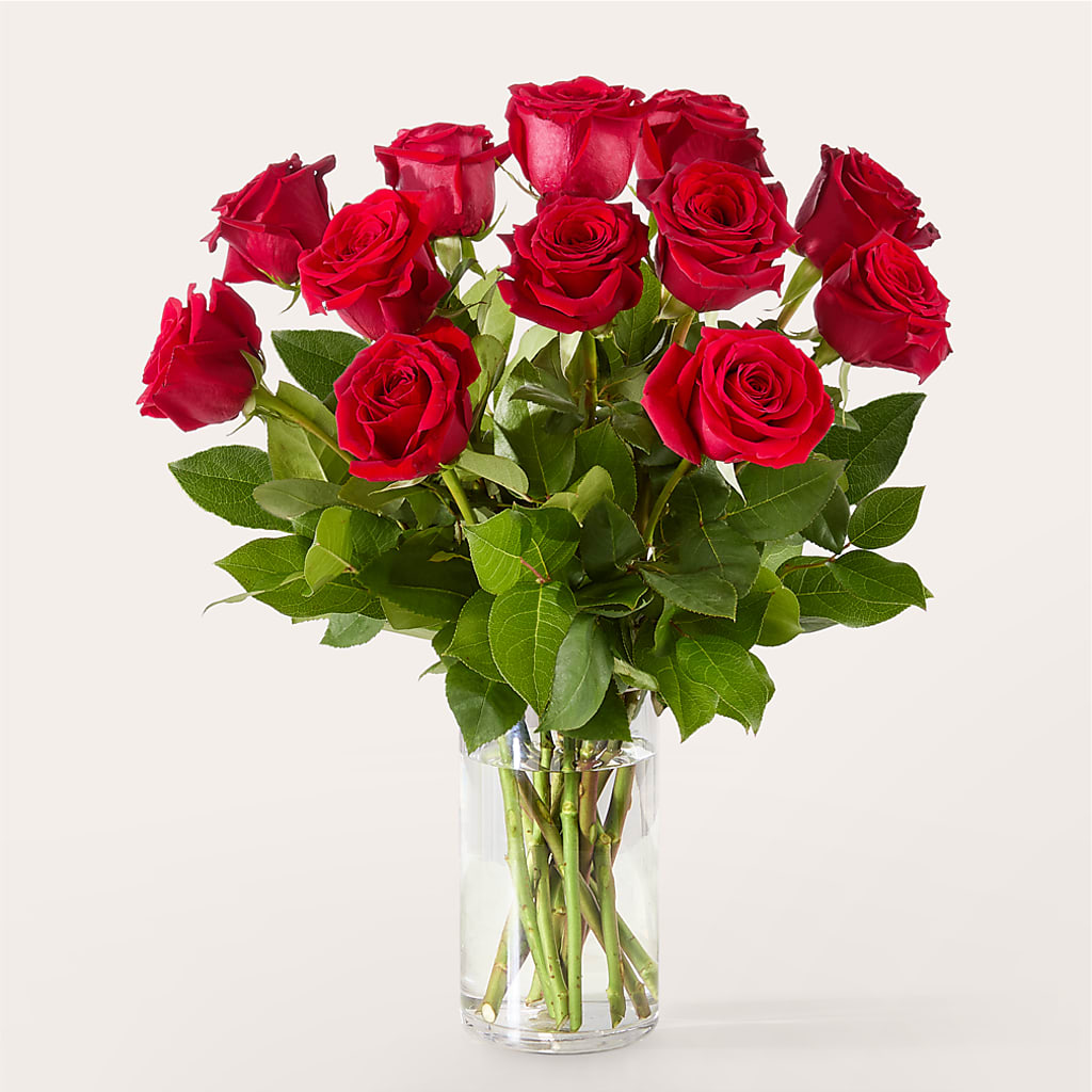 The One Red Rose Bouquet –  Brownsville Premiere Florist, Brooklyn NY
