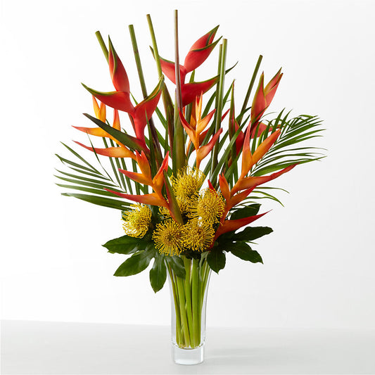The Drama –  Brownsville Premiere Florist, Brooklyn NY